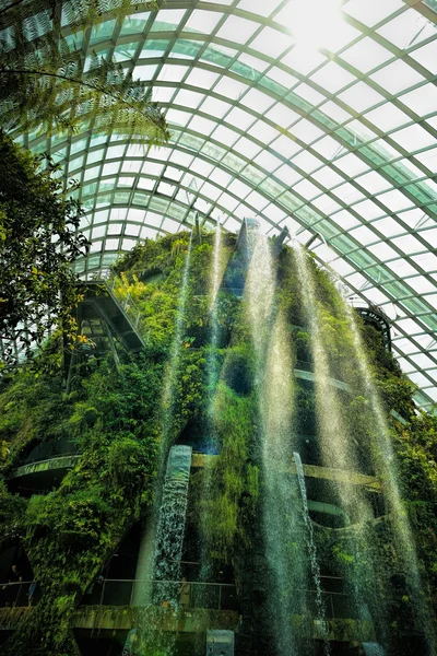 Mlžné pralesy na zahradě u zálivu na 7 října 2014 v Singapuru — Stock fotografie