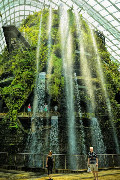 Cloud Forest au Gardens by the Bay le 7 octobre 2014 à Singapour — Photo