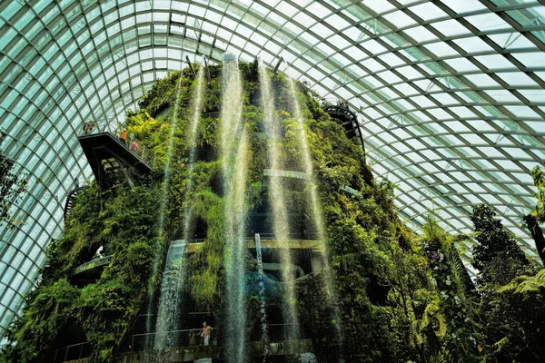 在新加坡对 2014 年 10 月 7 日湾花园云森林 — 图库照片