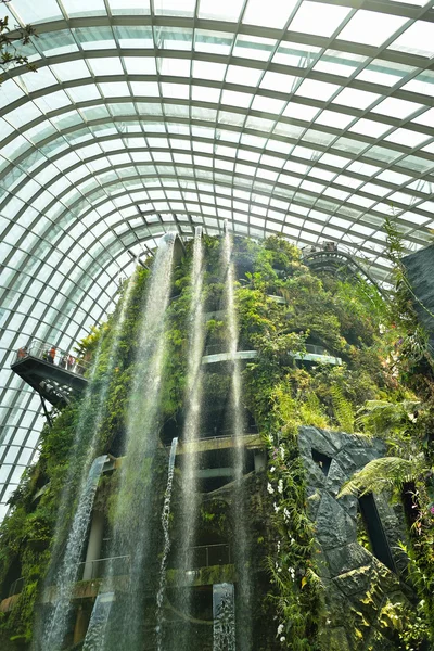 Cloud Forest at Gardens by the Bay 7 октября 2014 года в Сингапуре — стоковое фото