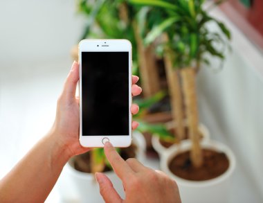 Elma iPhone 6S artı tutan kadın.