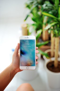 Elma iPhone 6S artı tutan kadın.