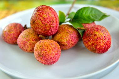 Taze lychee beyaz tabakta izole