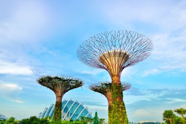 Noel harikalar Gardens Bay tarafından