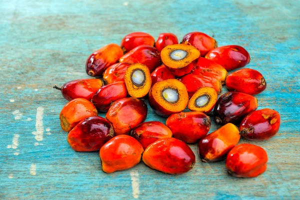 Frutas de palma de aceite —  Fotos de Stock