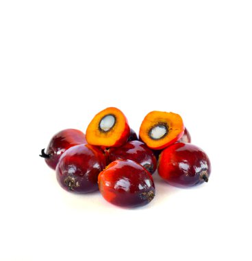 palmiye yağı meyve