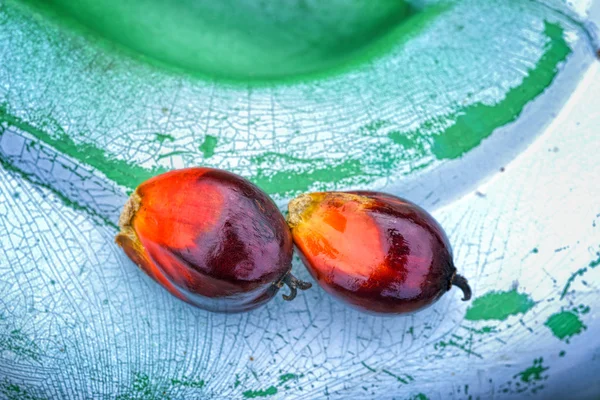 油ヤシの果実 — ストック写真