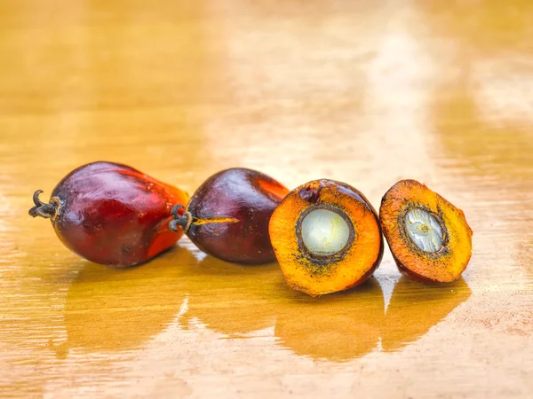 Oil palm fruits — Stock Photo, Image