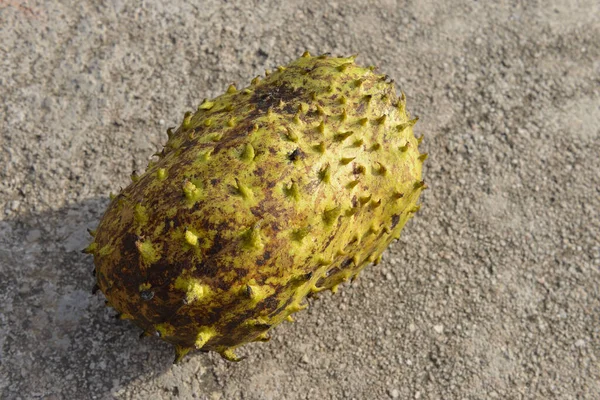 Close Soursop Fruit Isolated Texture Background Selective Focus — Stock Photo, Image
