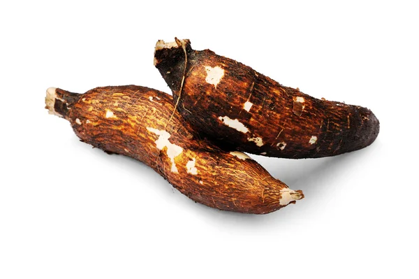 Färska kassava — Stockfoto