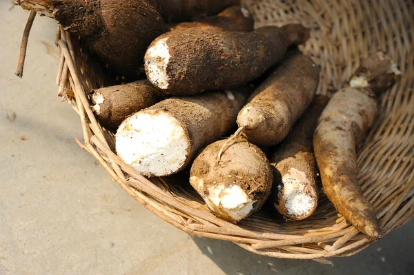 Frischer Maniok — Stockfoto