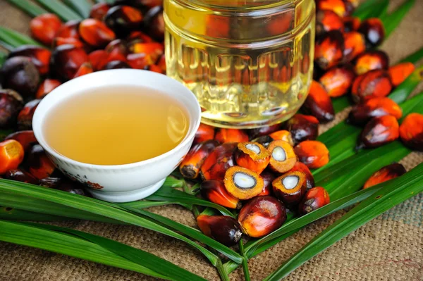 Palm Oil fruits — Stock Photo, Image