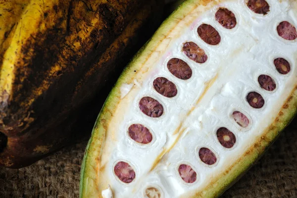 Cacao frukter med blad — Stockfoto