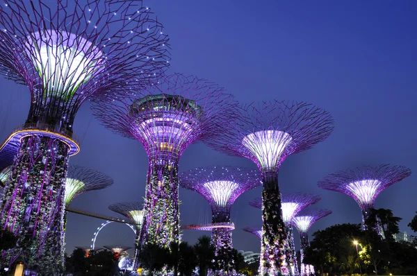 Gardens by the Bay — Stock Photo, Image