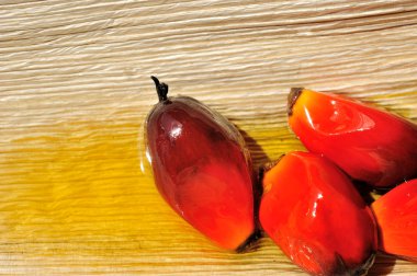 palmiye yağı meyve