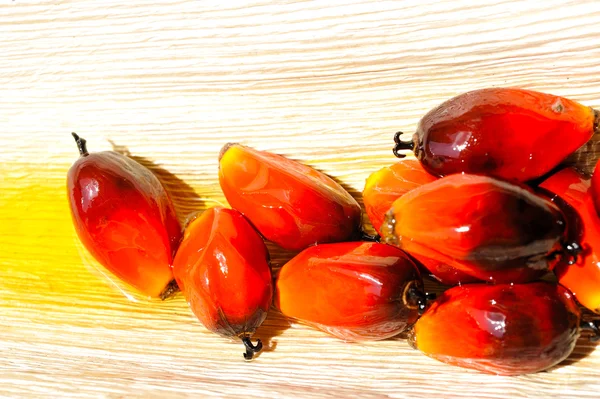 Oljepalmens frukter — Stockfoto