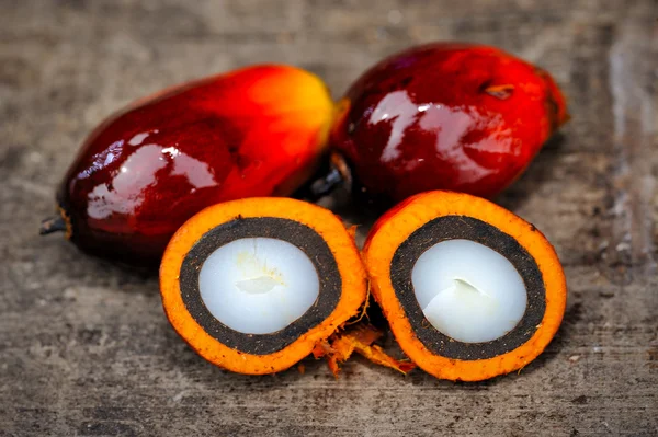 Oil palm fruits — Stock Photo, Image