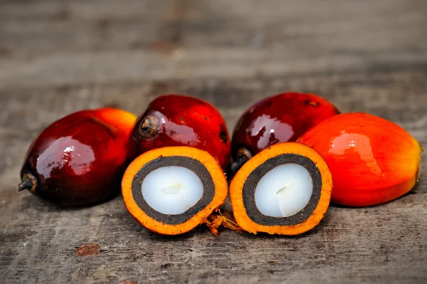 Palmiye yağı meyve — Stok fotoğraf