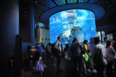 s.e.a. akvaryum içinde yürüyen turist