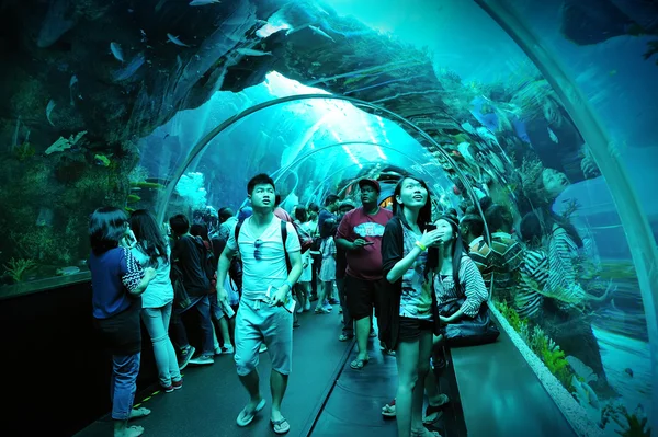 Turistas caminando a lo largo del túnel en S.E.A. Acuario — Foto de Stock