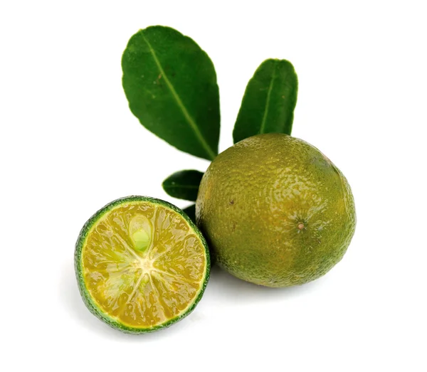 Fresh green lime — Stock Photo, Image