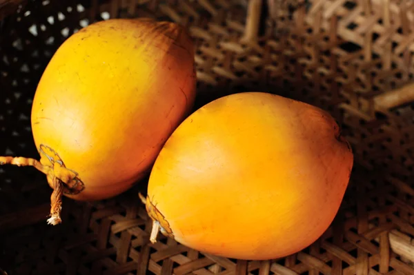 Złotego kokosa — Zdjęcie stockowe