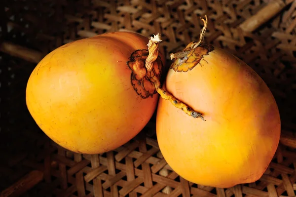 Golden coconut — Stock Photo, Image