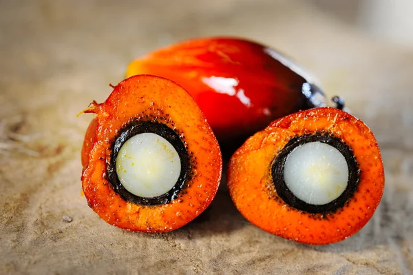 Oil palm fruits — Stock Photo, Image