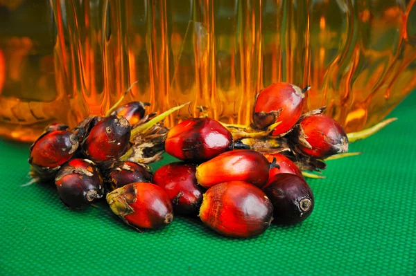 Óleo de palma Frutas — Fotografia de Stock