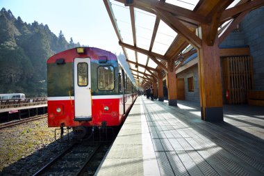 Alişan orman tren istasyonu platformu