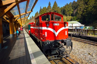 Alişan orman tren istasyonu platformu