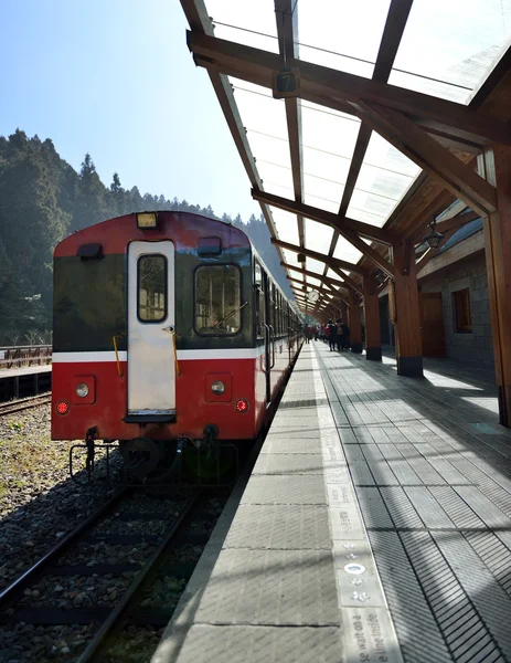 Alişan orman tren istasyonu platformu — Stok fotoğraf