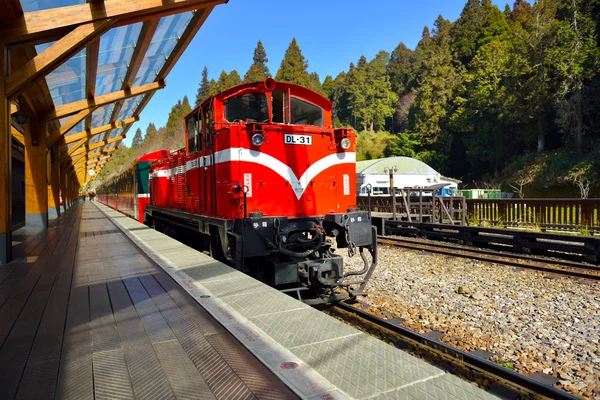 Alişan orman tren istasyonu platformu — Stok fotoğraf