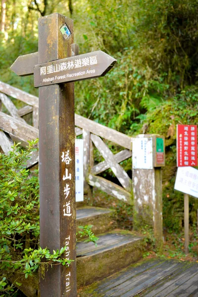 素朴な木の看板 — ストック写真