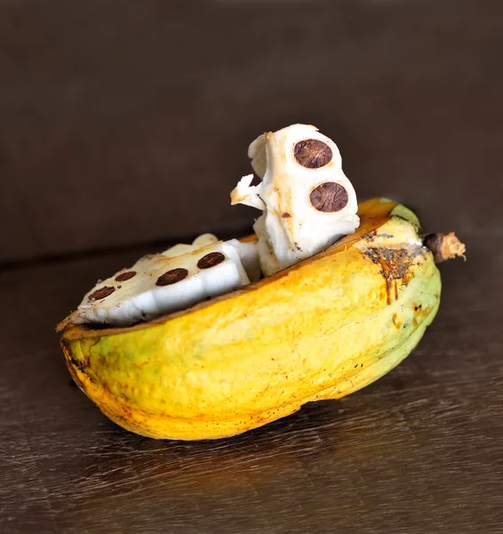 Close up of fresh cacao fruits — Stok fotoğraf