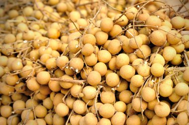 Meyve pazarında taze longan, yakın çekim