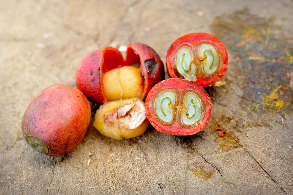 Close up of fresh raw coffee beans — 图库照片