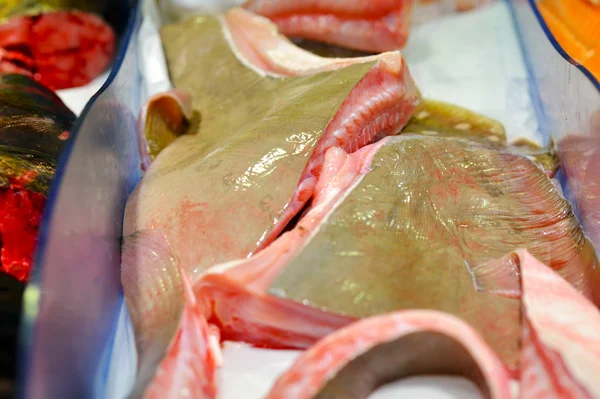 Close up of fresh sting ray  on open market