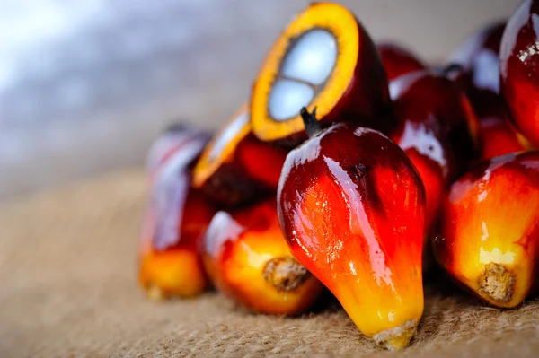 Close up of fresh oil palm fruits, selective focus. — Stock Photo, Image