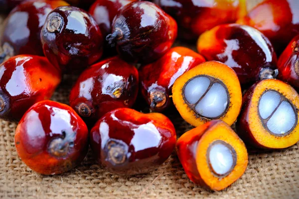 Close up of fresh oil palm fruits, selective focus. — Stock Photo, Image