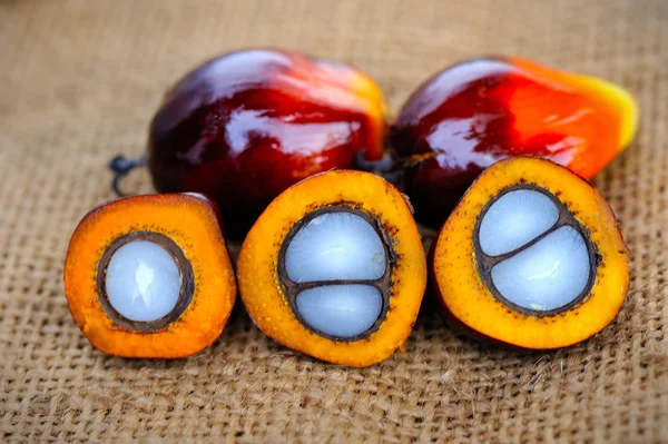 Primo piano di frutti di palma da olio freschi, attenzione selettiva . — Foto Stock