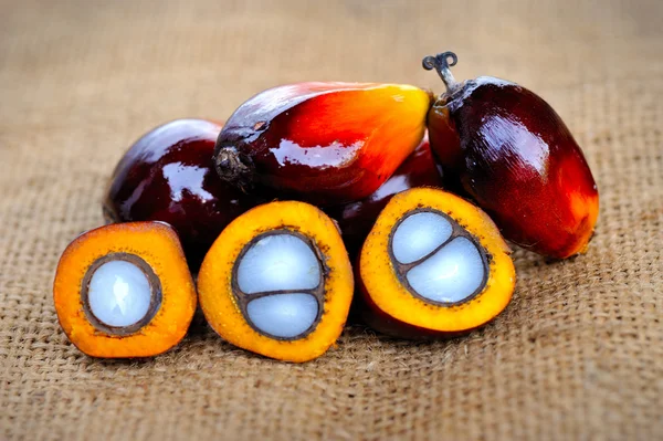 Primer plano de frutas frescas de palma aceitera, enfoque selectivo . —  Fotos de Stock