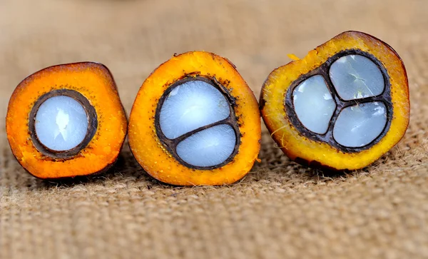 Primer plano de frutas frescas de palma aceitera, enfoque selectivo . —  Fotos de Stock