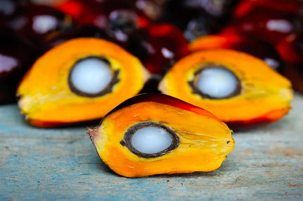 Primer plano de frutas frescas de palma aceitera, enfoque selectivo . — Foto de Stock