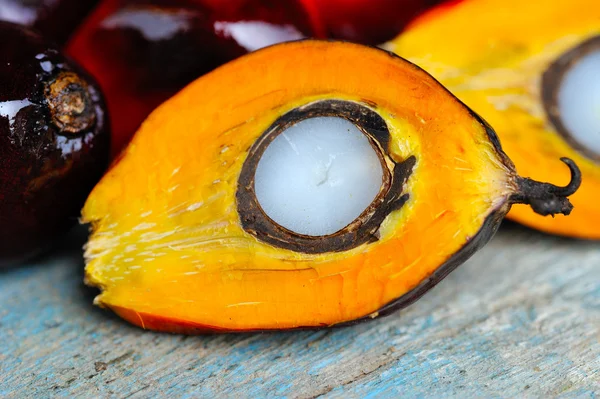新鲜的油棕榈果，选择性聚焦的特写. — 图库照片