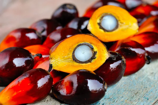 Close up de frutos de palma de óleo fresco, foco seletivo . — Fotografia de Stock