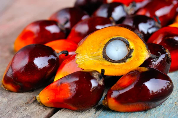 Primo piano di frutti di palma da olio freschi, attenzione selettiva . — Foto Stock