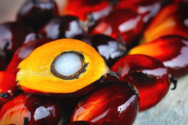 Primer plano de frutas frescas de palma aceitera, enfoque selectivo . — Foto de Stock