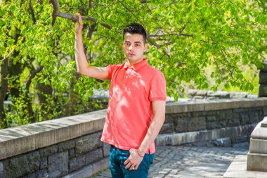 Kırmızı Polo tişörtü giymiş, elinde büyük bir ağaç dalı olan genç ve yakışıklı bir adam bahar mevsiminin sabahında çitin yanında dikiliyor.