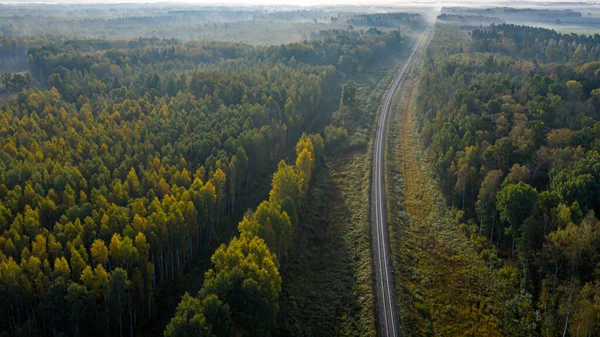 霧の多い秋の朝に森の中の鉄道の空中ビュー 秋の農村部の鉄道のトップビュー — ストック写真